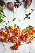 Draufsicht auf verschiedene frische, reife Gemüsesorten in Farbverläufen auf weißem Stoff auf einem Tisch