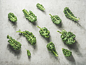 Kale pattern with raw green leaves at grey concrete kitchen table with sunlight. Healthy seasonal winter vegetable. Top view.