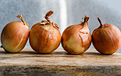 Raw organic onion heads on the kitchen table before cooking