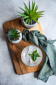 Top view of glass of mineral water with ice cubes and fresh mint leaves placed on wooden tray with potted plants and napkin against gray background