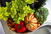 From above of various assorted fresh vegetables placed in wicker basket on white background