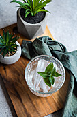 Blick von oben auf ein Glas Mineralwasser mit Eiswürfeln und frischen Minzblättern auf einem Holztablett mit Topfpflanzen und Serviette vor grauem Hintergrund