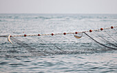 Scenic view of waving rippling seawater splashing fishing net with rope tied with red cork floats on sunny day of summer against blurred cloudless sky
