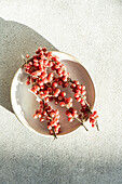 From above cluster of ripe buffaloberries is artfully arranged on a ceramic plate, bathed in the soft glow of sunlight in concrete background