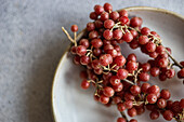 Focus of cluster ripe buffaloberries is artfully arranged on a ceramic plate, bathed in the soft glow of sunlight in concrete background