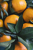 Eine lebendige Nahaufnahme von reifen Orangen mit üppigen grünen Blättern, voller natürlicher Texturen und Farben