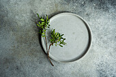 Draufsicht auf eine Tischdekoration mit einer frischen Pistazienpflanze auf einem Keramikteller vor einer grauen Fläche