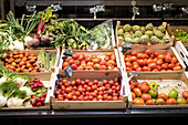 Assorted fresh ripe organic tomatoes vegetables placed in open cardboard boxes with price signs for each in retail sales store