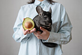 Crop anonymous female in shirt with cut half of ripe avocado holding soft chinchilla pet while standing over grey background indoor