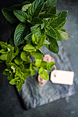 Fresh organic mint leaves ready for cooking on the kitchen table