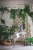 Holztisch mit Tuch auf Betonboden vor weißer Backsteinmauer, dekoriert mit Topfpflanzen in hellem Studio