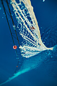 Large net with ropes floating in deep blue sea water under sunlight during traditional fishing in Soller