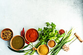 Traditional Georgian food concept with spices, sauces on concrete table