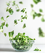 Green salad in glass bowl and flying lettuce leaves at white background. Healthy cooking preparation. Levitation food concept. Front view.