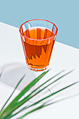 A vibrant glass of orange juice sits against a white and blue backdrop, highlighted by natural sunlight with a green plant element adding freshness to the scene.