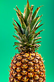 Close up view of whole raw ripe pineapple against green background