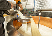 Milch fließt aus einem Pasteurisierer aus rostfreiem Stahl in einen Bottich in einer Käserei, die die ersten Schritte der Käseherstellung zeigt