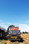 Farming machinery collecting ripe tomatoes into a truck on a vast field with a scenic backdrop of a village and clear blue sky