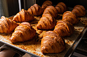 Delicious freshly baked croissants placed on counter tray being taken out of oven by hand of anonymous person in bakery at daylight