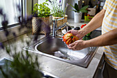 Seitenansicht eines anonymen Mannes, der beim Kochen Tomaten mit einem Wasserstrahl aus dem Wasserhahn in der Küchenspüle wäscht, im unscharfen Hintergrund