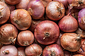 Top view full frame background of various colorful fresh onions placed together in local market