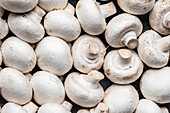 Top view of many raw white mushrooms placed close to each other as background