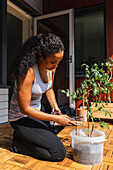 Junge Afroamerikanerin auf der sonnenbeschienenen Terrasse einer Wohnung gießt eine Zimmerpflanze mit reinem Wasser