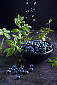 Schale mit einem Haufen reifer, gesunder, gewaschener Blaubeeren auf einem schwarzen Marmortisch mit grünen Blättern in der Küche von oben