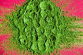 Top view of traditional Japanese powdered matcha tea scattered on bright pink background