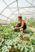 Plump female gardener browsing on tablet squatting against plantation with lush leaves in greenhouse