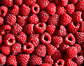 Background of fresh sweet red raspberries arranged together representing concept of healthy diet