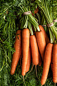 Top view of bunch of fresh ripe orange carrots placed on stall in local market