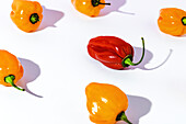 From above of one ripe yellow pepper placed among many red peppers on white table in studio