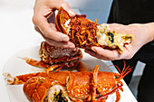 Crop anonymous person cracking tasty cooked red lobster with meat with hands on white table in light kitchen at home