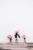 Pink roses inside glass vases placed on wooden surface against neutral background