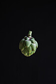 Frische Knospe einer grünen Artischockenpflanze, die auf einen schwarzen Hintergrund fällt