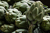 Bunch of fresh green artichokes placed on stall in local market