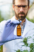 Crop bearded male scientist wearing uniform and gloves demonstrating glass bottle with cannabis extract while working in hothouse with hemp plants in pharmaceutical laboratory