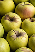 Full frame background of delicious fresh yellow apples composed together in rows