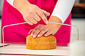 Crop unrecognizable female with professional equipment cutting fresh baked cake on parts in bakery