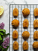 Top view of tasty madeleines on cooling rack near lavender flowers on marble surface