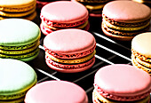 Delicious sweet colorful macaroons with cream placed on metal baking rack in bakery
