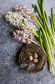 Von oben Osternest mit Eiern und Hyazinthenblüten auf Betonhintergrund