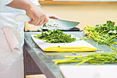 Crop anonymous female chef in uniform cutting fresh green parsley with knife on cutting board in kitchen