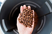 From above of crop unrecognizable male farmer adding pile of brown coffee grains into plastic container in countryside