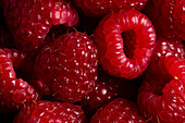 Full frame closeup of fresh ripe red healthy raspberries in pile on stall