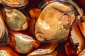 From above ceramic plate with yummy mussels in sauce standing on piece of cloth on gray background