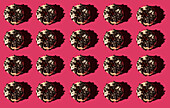 Top view of many white donuts covered with bits of oreo biscuit on pink background