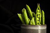 Bunch of ripe green pods with fresh peas placed in ceramic pot against black background