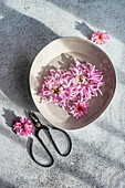 Draufsicht auf eine herbstliche Innendekoration mit einer Keramikschale voller fliederfarbener und violetter Chrysanth-Blütenköpfe